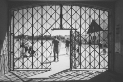 Dachau_KZ112313-01